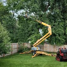 Lawn Maintenance Plans in Llano, TX